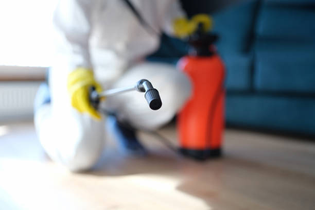 Mold Odor Removal Services in Warren Park, IN