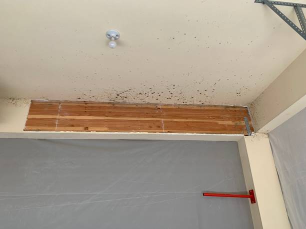Dehumidification Services in Warren Park, IN